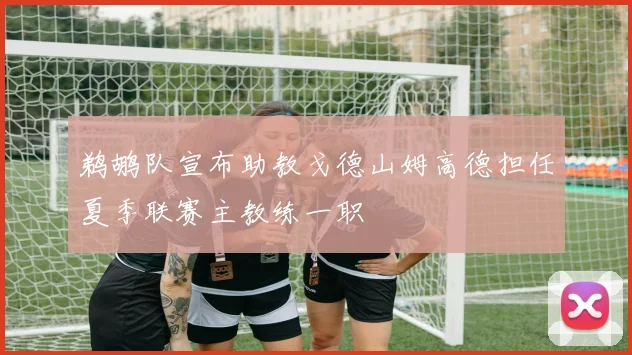 鹈鹕队宣布助教戈德山姆高德担任夏季联赛主教练一职